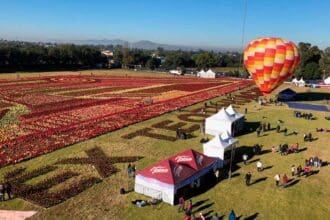 Festival del Globo entre nochebuenas en Teotihuacán
