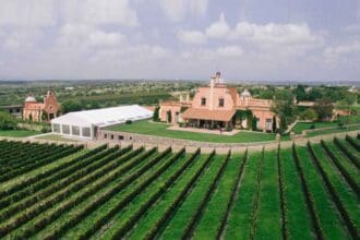 5 vinícolas de Guanajuato para celebrar las Fiestas de la Vendimia