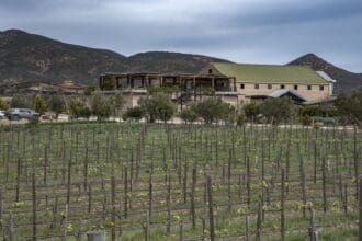 Finca La Carrodilla: 10 años expresando lo mejor del Valle de Guadalupe