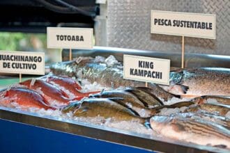 Descubre la Pesca de Autor en Fisher’s