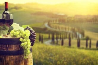 Disfruta del Food and Wine Fest en Texas