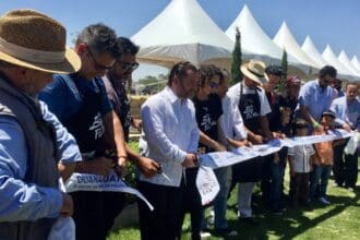 The Big Picnic México 2017