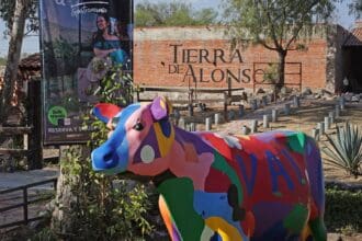 Tierra de Alonso: una celebración de GastroFest por todo lo alto