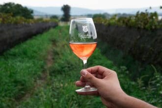 GastroFest en Vinos del Marqués: brindis con lo mejor de Querétaro