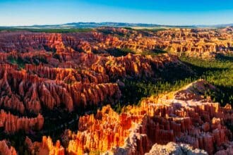 GoUSA TV: gratis, sin visa y a un clic de distancia