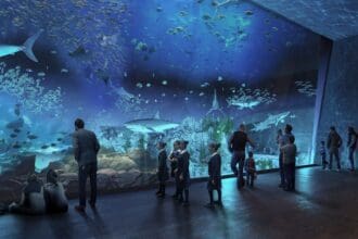 5 datos asombrosos sobre el Gran Acuario Mazatlán Mar de Cortés