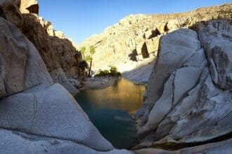 Baja California, destino ecológico