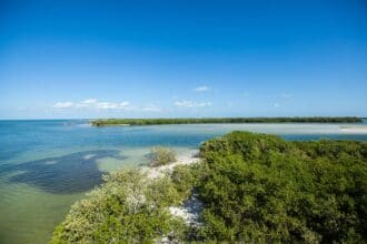 Holbox celebra en grande el Festival: Comer, Amar y Contemplar