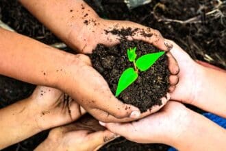 Tips para reducir tu huella de carbono al viajar