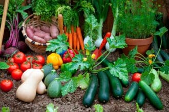 Tips para comenzar y cuidar tu huerto en casa