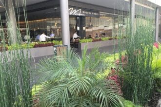 Miguel Ángel: oasis de sabor