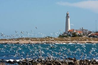 Disfruta de Uruguay… ¿en plena primavera?