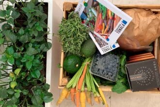 Itacate Tonalá: gastronomía y cine en casa