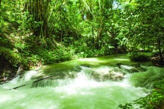 Jamaica: caudales de adrenalina