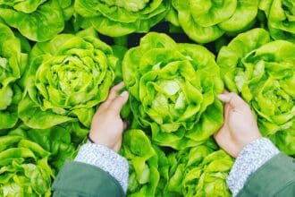¿Qué vamos a comer en el futuro? KM ZERO te da algunas respuestas