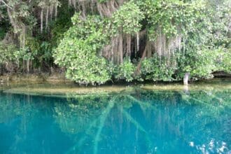 Lagos y lagunas hermosas de México