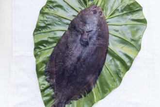 Lenguado, delicia insólita