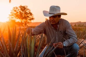 Livin’ The Land: el trabajo en el campo