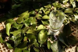 ¡A mezcalear se ha dicho!