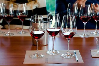 México Selection by Concours Mondial de Bruxelles: conoce los vinos premiados