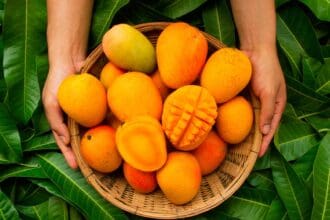 Mango: radiografía de esta deliciosa fruta