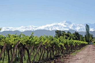¿Qué hacer en Mendoza, Argentina?