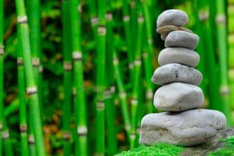 Principios del Mindfulness para llevar una vida plena