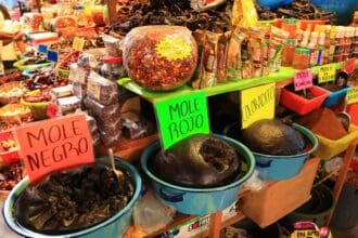 7 moles oaxaqueños