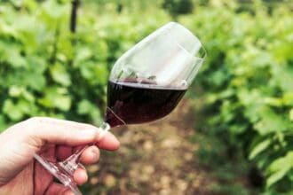 Monte Xanic Cabernet Merlot: único vino mexicano Gran Medalla de Oro