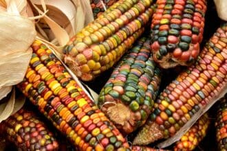 México tendrá su primer museo interactivo de gastronomía