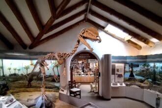 Arte, música ¡y dinosaurios!: 5 museos en Arizona imperdibles