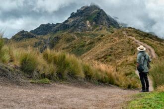 Natoure va por un turismo sustentable en Ciudad de México