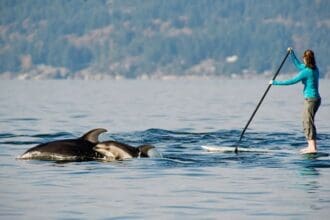 Vancouver: Espectacular por naturaleza