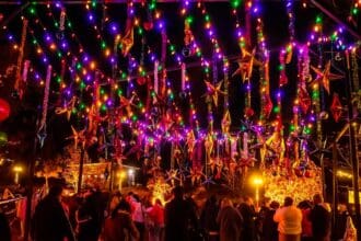 Qué hacer y qué ver en CDMX este diciembre
