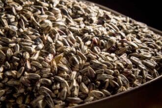 Nixtamalización, ancestral técnica culinaria que perdura