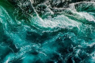 7 datos curiosos sobre los océanos