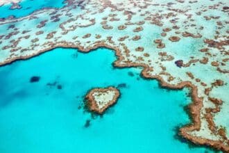 Belleza marina: arrecifes de coral en el mundo