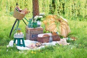 Platillos para picnic