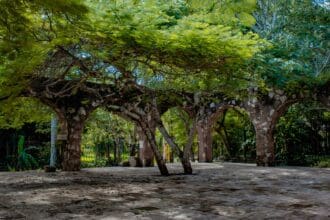 Hotel Oriundo: un lugar para enamorarse de Valladolid, Yucatán