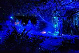 Pandora Luminescence es la experiencia imperdible en Holbox