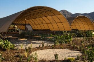 Parcela: come rico y despeja tu mente en Tepoztlán