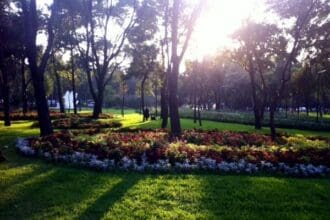 Parques “ocultos” en la Ciudad de México