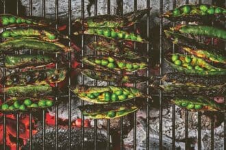 Recetas para una parrillada de vegetales que amarás