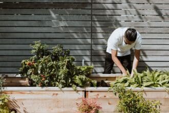Alimentarte: un foro para sembrar el futuro de la gastronomía
