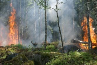 La Tierra nos advierte: desastres naturales de 2020