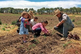 ¡Vámonos de viaje! 5 experiencias en familia en México