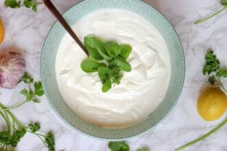 Todo lo que debes saber sobre el yogurt