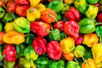 5 ingredientes extranjeros que adoptamos en México