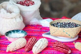 Los productores detrás del maíz y mole de Milpa Alta 