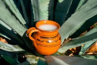 Pulquerías a domicilio: a falta de amores, ¡pulque señores!